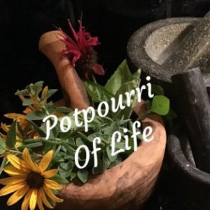 Profile photo of potpourri_of_life