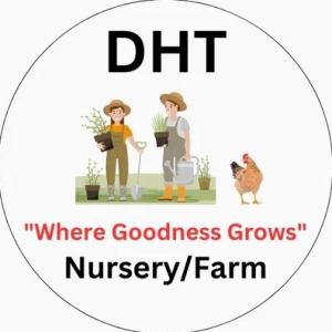Profile photo of dht-nurseryfarm